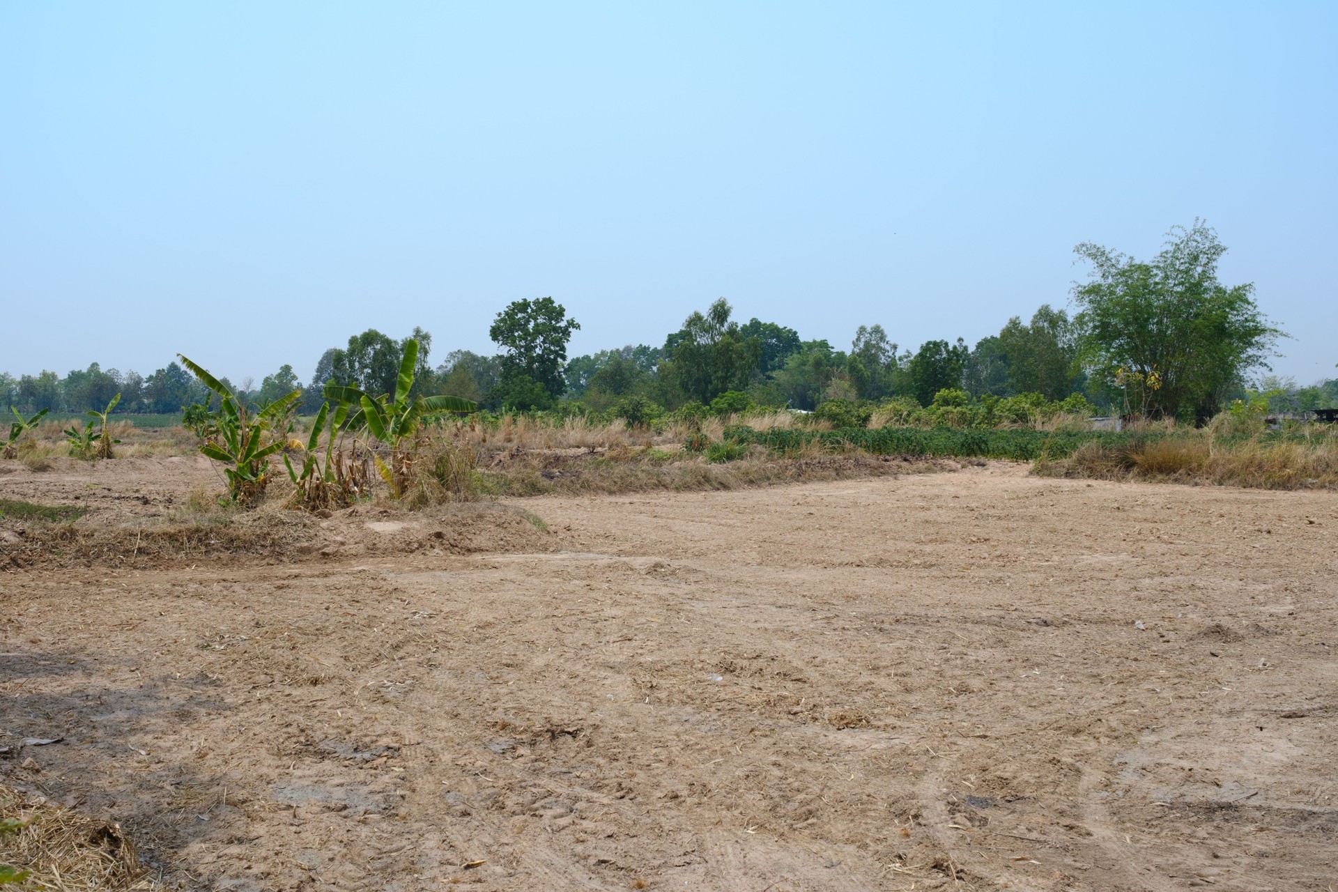 drought in agricultural areas in summer